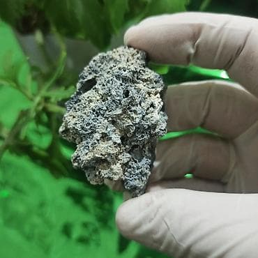 ucuz gitara satisi: UV Parlayan Təbii Daş Satılır – Kolleksiya üçün Nadir Kristal 💎 — 4