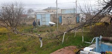 binə qəsəbəsi ats: 34 sot, Tikinti, Mülkiyyətçi, Kupça (Çıxarış) — 25