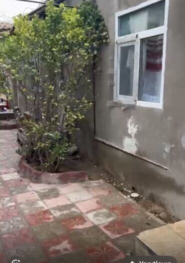 bine sovxoz: Kiraye verlir Bine savxoz pekarni yolu kanala çatankimi ruzi marketin — 5