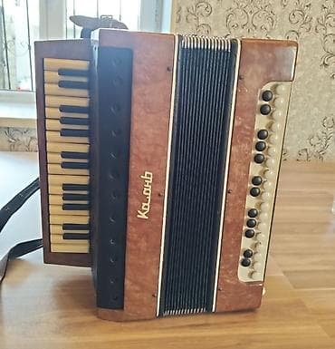 Musiqi alətləri: Akustik Akkordeon — 1