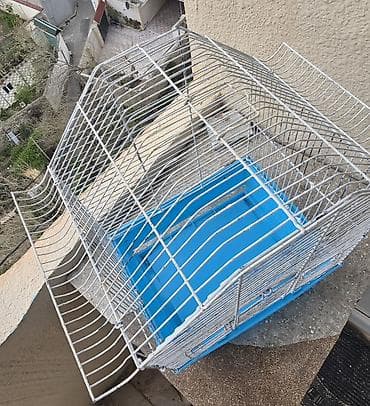 Qəfəslər: Quş qəfəsi – metal karkaslı, mavi plastik altlıqla - Material: möhkəm — 2