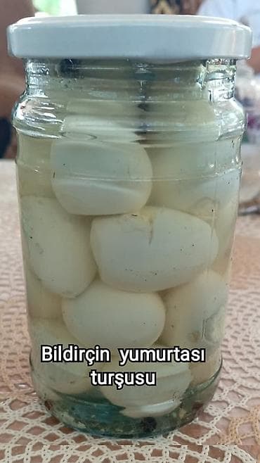 tetra quşu: Bildriçin yumurtası. Sən hələ bildirçin yumurtalarına baxıb “Bu — 4