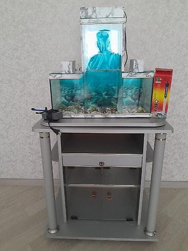 diskus baliqlari: Boş, 28 l — 1