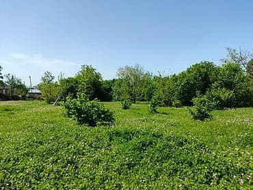 torpag satisi: 4 sot, Tikinti — 10