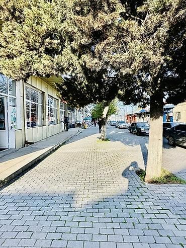 İcarəyə verilir – vitrinli obyekt - Geniş vitrin pəncərələri və şüşə lalafo.az -da İcarəyə verilir – vitrinli obyekt - Geniş vitrin pəncərələri və şüşə