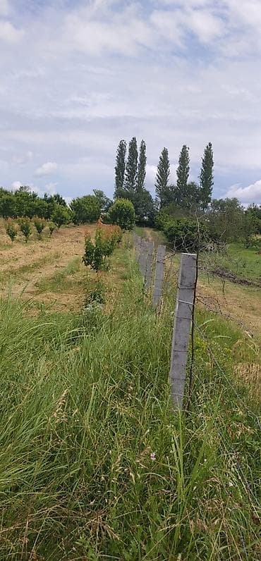 xocasen torpaq: 200 sot, Kənd təsərrüfatı, Kupça (Çıxarış) — 2