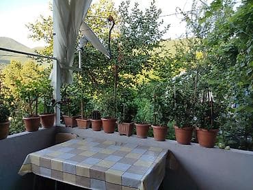 lenkeran ev alqı satqı: 5 otaqlı, 600 kv. m — 9