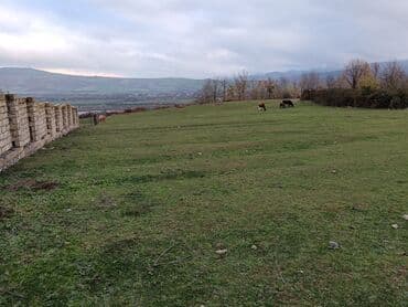 qəçreş kirayə evlər: 10 sot, Tikinti, Maklerlər narahat etməsin, Kupça (Çıxarış) — 5