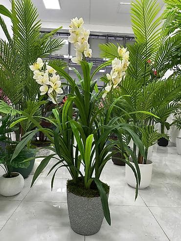 Orxideya gülü, süni ağaclar