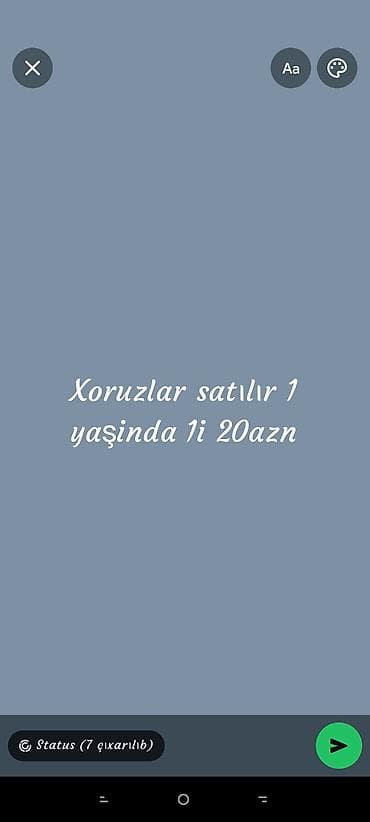 Gəmiricilər: Digər quşlar — 1