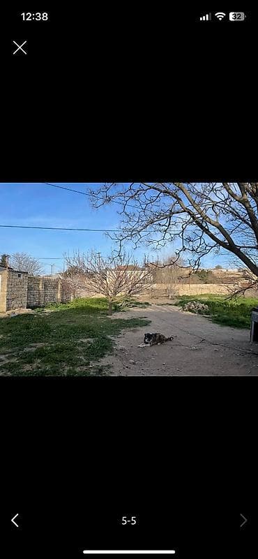 8 sot, Kənd təsərrüfatı, Barter mümkündür, Bələdiyyə