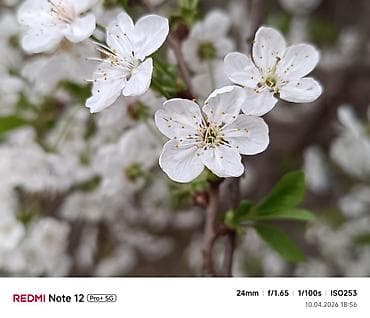 digital kamera: Redmi Note 12 Pro+, 256 GB, rəng - Qara, Sensor, Barmaq izi, İki sim kartlı — 6