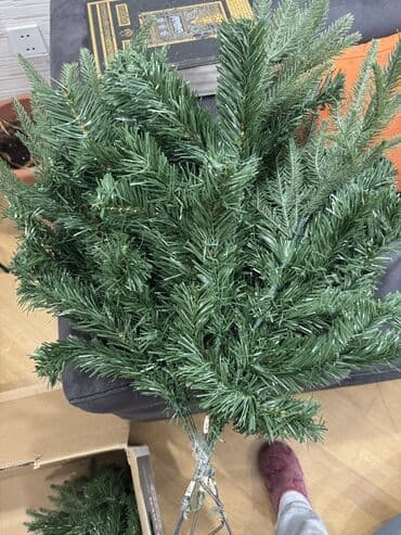 şam satışı: Məhsul: Yeni il şam ağacı Təsvir: - Hündür, sıx budaqlı şam ağacı — 2
