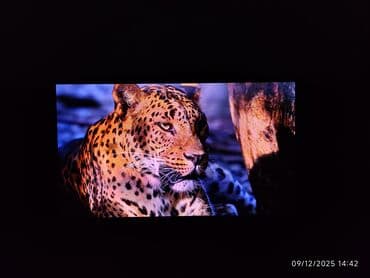 Televizorlar: Televizor LG 50" — 9