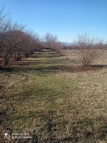 qebelede torpaq: 15 sot, Kənd təsərrüfatı, Mülkiyyətçi, Kupça (Çıxarış) — 2