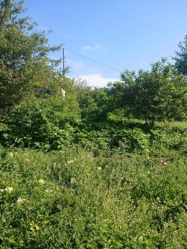 lenkeran ev alqı satqı: 12 sot, Tikinti, Mülkiyyətçi, Kupça (Çıxarış) — 2