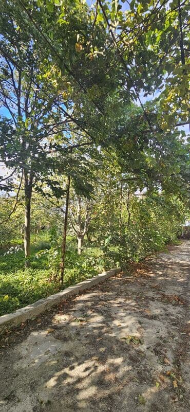 аренда продажа земельных участков: 48 sot, Kənd təsərrüfatı, Kupça (Çıxarış) — 3