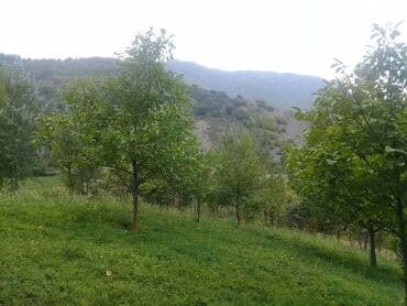 qara qarayev ev: 12 sot, Kupça (Çıxarış) — 6