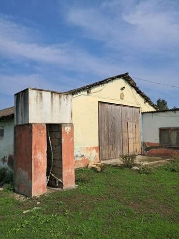 bağ evi satışı: Kənd təsərrüfatı — 9