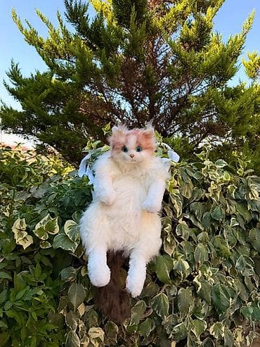 oyunca: Məhsul: Realistik pişik peluş oyuncaqları - Növlər: 3 fərqli rəng — 3