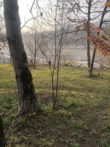 bilgeh torpaq satilir: 8 sot, Tikinti, Makler, Kupça (Çıxarış) — 5