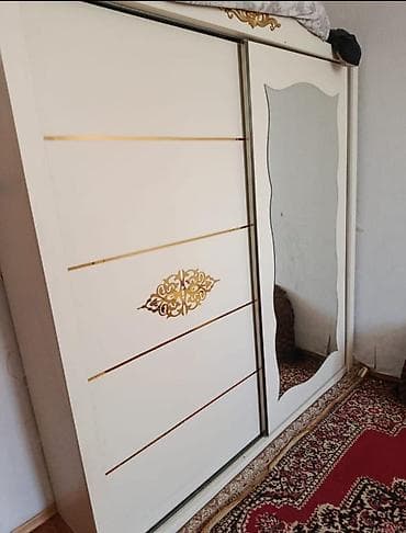 plastic qapi: İşlənmiş, 2 qapılı, Güzgülü, Ağ, Kupe, Düz dolab — 1