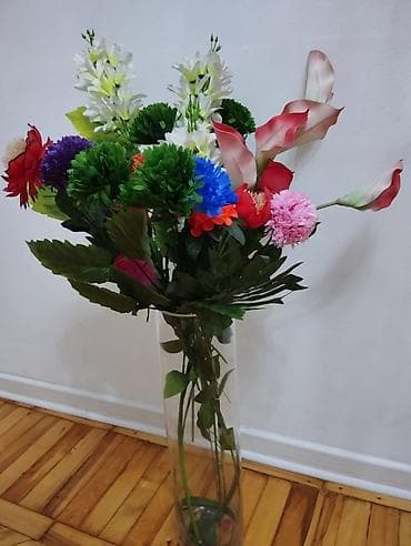 sirqa gulu: Güldan hun 85 sm — 1