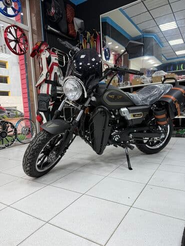 Angel - champ 50 sm3, 2024 il