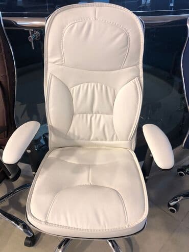 dərin boşqab: Yeni, Təkərli, Qolları tənzimlənmir, Dəri — 9