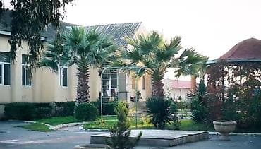 sonalı göl: 60 hektar sahəsi olan gözəl bir məkan satışa çıxarıldı. Sahədə geniş — 6