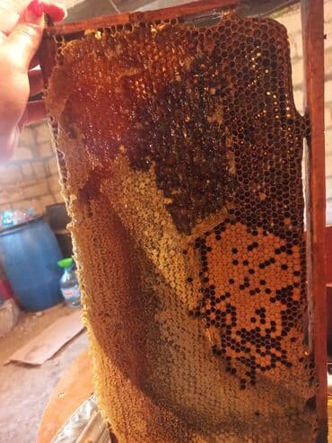 ballı bitkisel macun: Təmiz kənd balı satılır. Keyfiyyətinə 100% zəmanət. Kiloqramı 30 AZN — 2