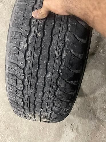 prado diskleri: Dunlap.Tekerler ela — 1