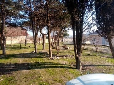 xacmazda dasinmaz əmlak: 15 sot, Mülkiyyətçi, Bələdiyyə — 5