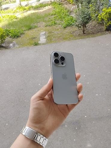 IPhone 15 Pro, Gümüşü