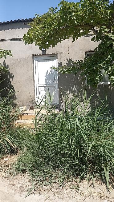 Zabrat1 qəsəbəsində anbar və istehsalat təyinatlı obyekt kirayə — 5