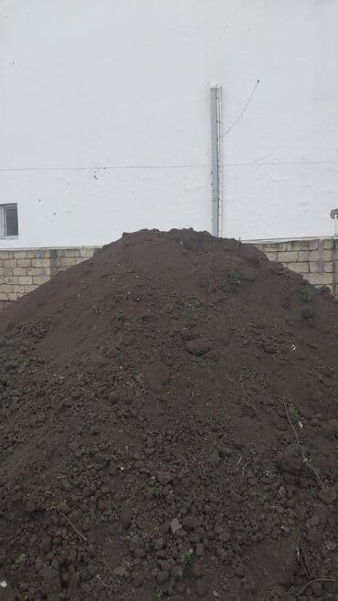 ağac satışı baki: Balaken torfu peyin ekolayf peyin peyin peyin torf250 litr torf — 9