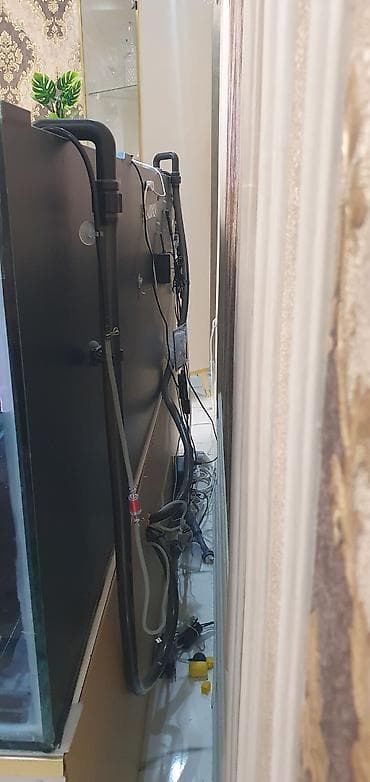 heyvanlar: 450 litr həcmli böyük akvarium satılır. (2000₼ pul qoyulub) premium — 7