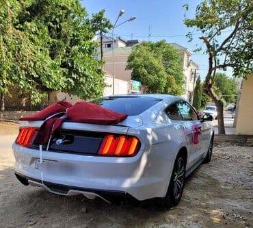 аренда авто ош матиз без залога: 2018-ci il Mustang. Toy, Nişan və digər tədbirlər üçün sifariş edə — 3