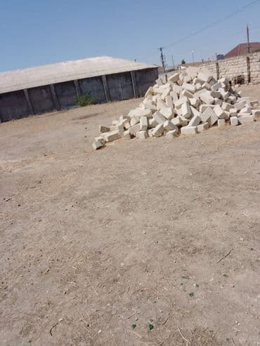 ferma icarəyə verilir: 16 sot, Kupça (Çıxarış) — 2