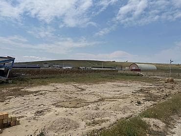 25 sot, Tikinti, Kupça (Çıxarış) — 1
