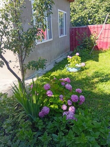 qara qarayev metrosu kirayə evlər: 40 м², 2 комнаты, Интернет, Телефон, Газ — 16