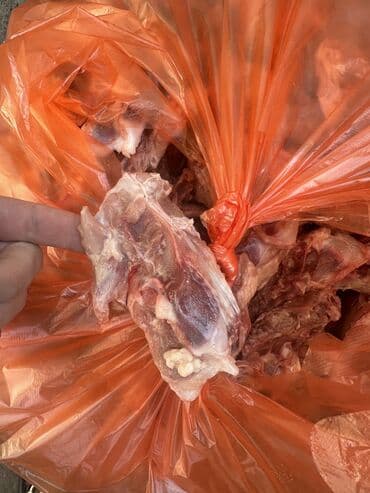 en yaxsi bugda sortu: Salam ✅Heyvanlar üçün nəzərdə tutulub satılır, ❌İnsan qi̇dasi dei̇l!! — 1