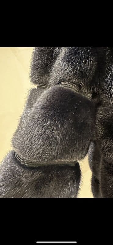 qara pencek: Kürk, rəng - Boz — 2