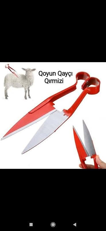 Qayçı qoyun qırxan toodan satış