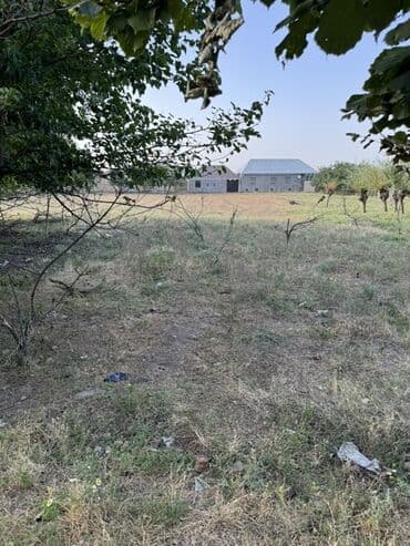 binəqədidə torpaq satılır: Torpaq satılır – 13 sot | Gəncəyə yaxın 📍 Gəncə şəhərinə cəmi 2 km — 8