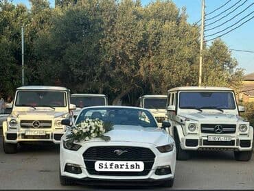 gence lenkeran avtobus: Toy, Nişan və digər tədbirlər üçün sifariş edə bilərsiz. ( Qiymət — 2