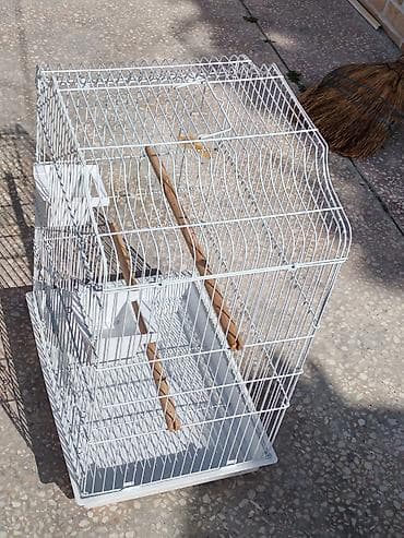 Heyvanlar üçün mallar: Qəfəs böyükdür, cüt korella saxlamaq üçün əlverişlidir. Quş qəfəsi – — 2