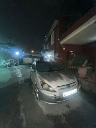 Аксессуары и тюнинг: Peugeot 307: 2 л | 2005 г. Хэтчбэк — 4