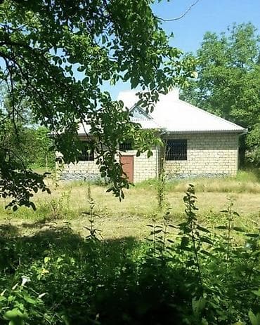 tap az sumqayit: 🏡 TƏCİLİ! QƏBƏLƏDƏ PRESTİJLİ ƏRAZİDƏ 64 SOT TORPAQ SATILIR! 📍 Qəbələ — 1
