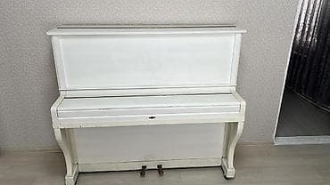 Piano, Belarus, Akustik, İşlənmiş, Ünvandan götürmə